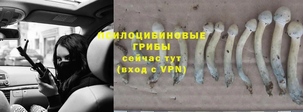 скорость Михайлов