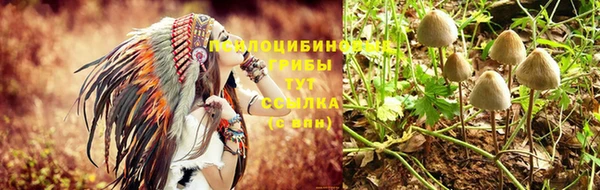 скорость Михайлов