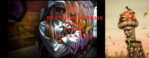 соль курить ск Михайловка
