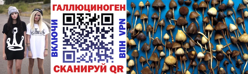 мега Устюжна Галлюциногенные грибы ЛСД